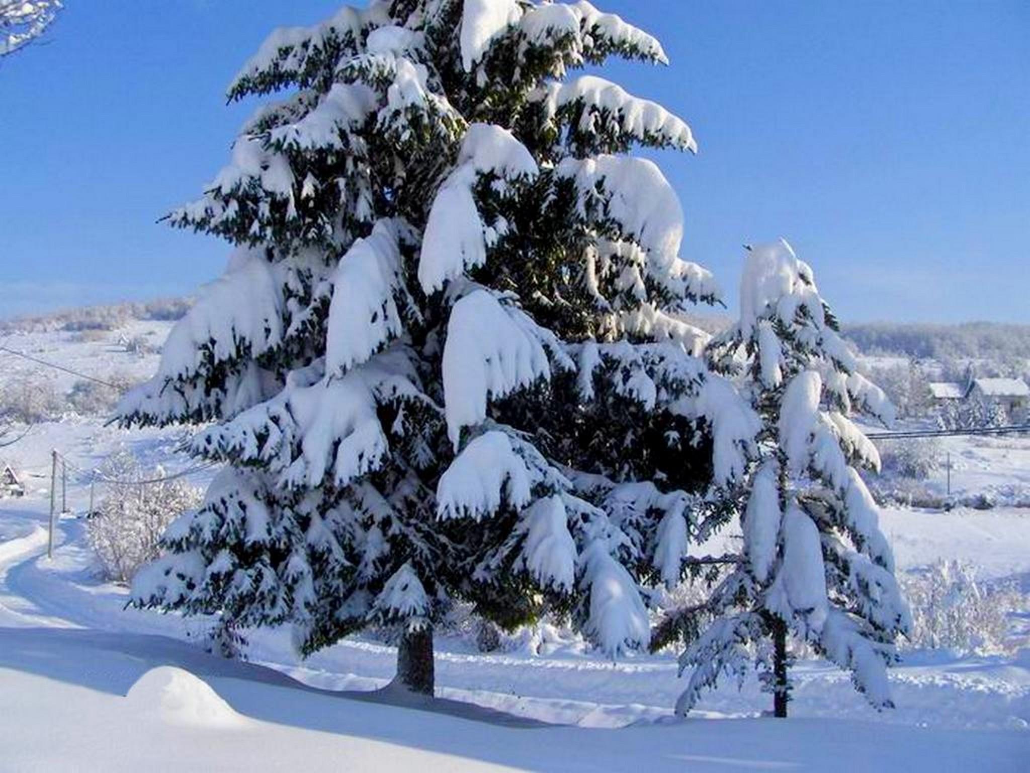 House Josipa Hotel Rakovica Bagian luar foto