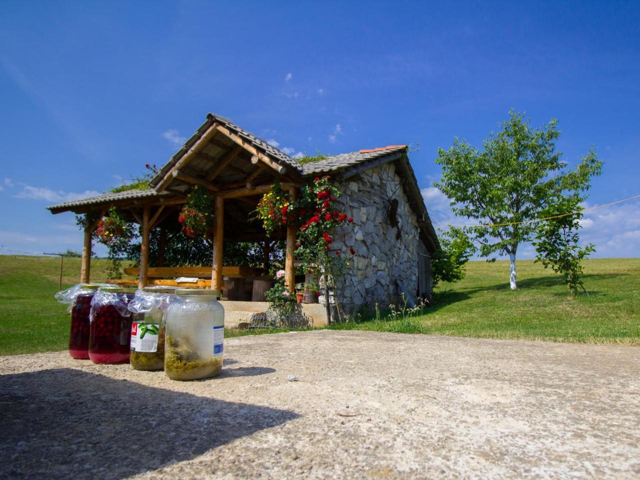 House Josipa Hotel Rakovica Bagian luar foto